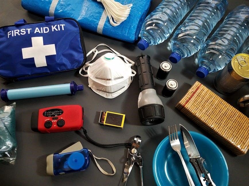 How to Incorporate Effective First Aid into Your Home Safety Plan - In-Depth Review and Practical...