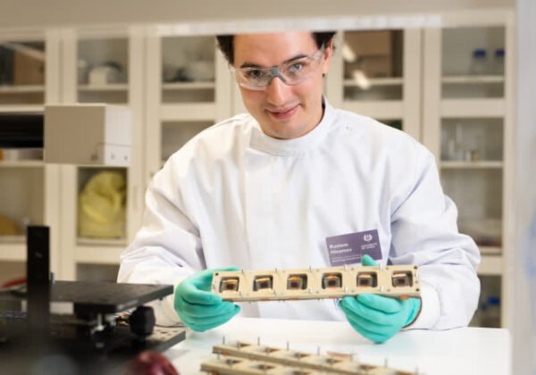 New biodegradable film made from onion skins can boost solar panel lifespan – In-Depth Review and…