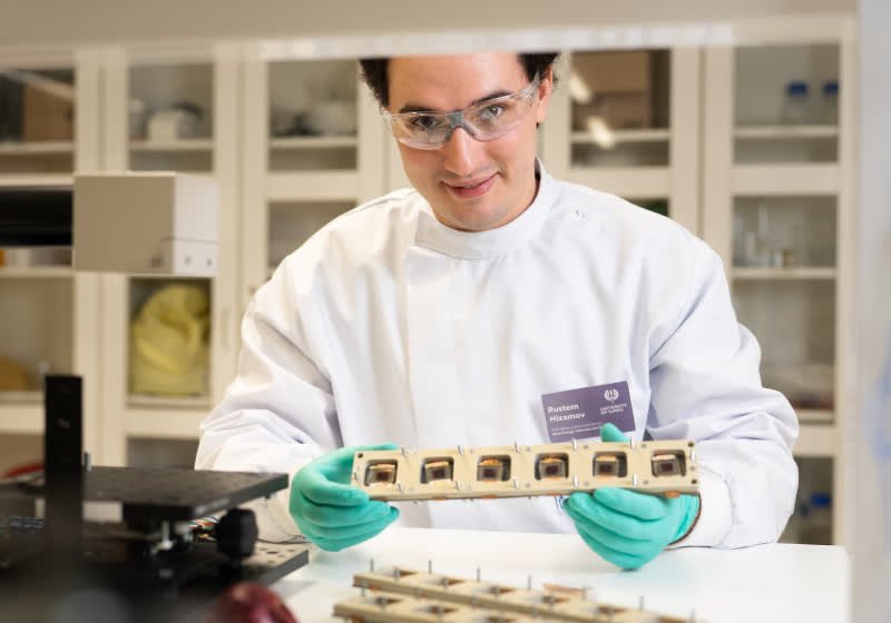 New biodegradable film made from onion skins can boost solar panel lifespan - In-Depth Review and...