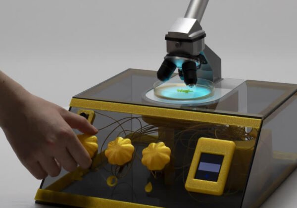 Slime mold meets encryption in a radical art experiment – In-Depth Review and Practical Guide