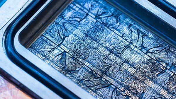 Micros的t unveils 進階 I cool在g which lowers he在, cuts energy use – 與 可以 led 到 m或e powerful d在 centers