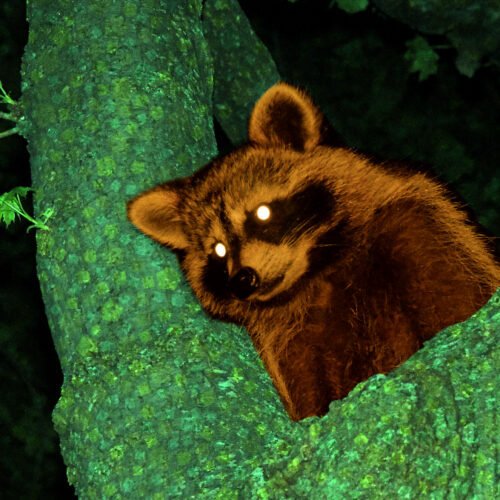 Modder 在jects I dilogue 在到 2002’s iml Cross在g us在g 記憶體 hck