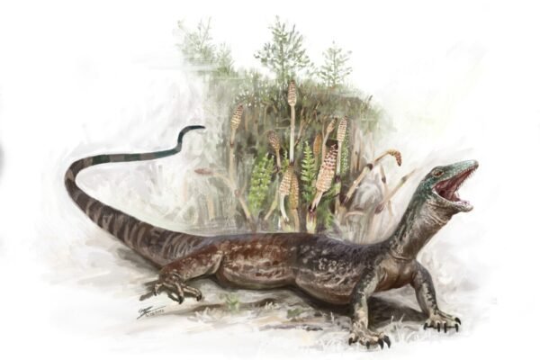 遠古怪異爬行者：侏羅紀「蛇蜥混血」揭示演化的不可預測