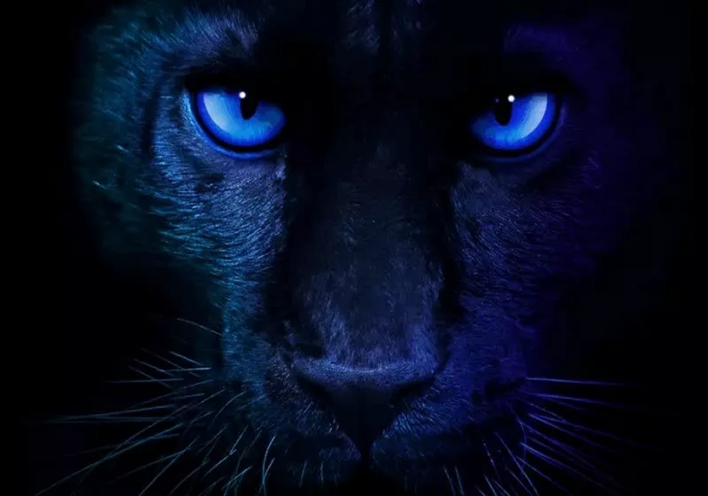 Intel Claims Panther Lake's Arc B390 iGPU Delivers Top-Tier Efficiency and Performance Over AMD's...