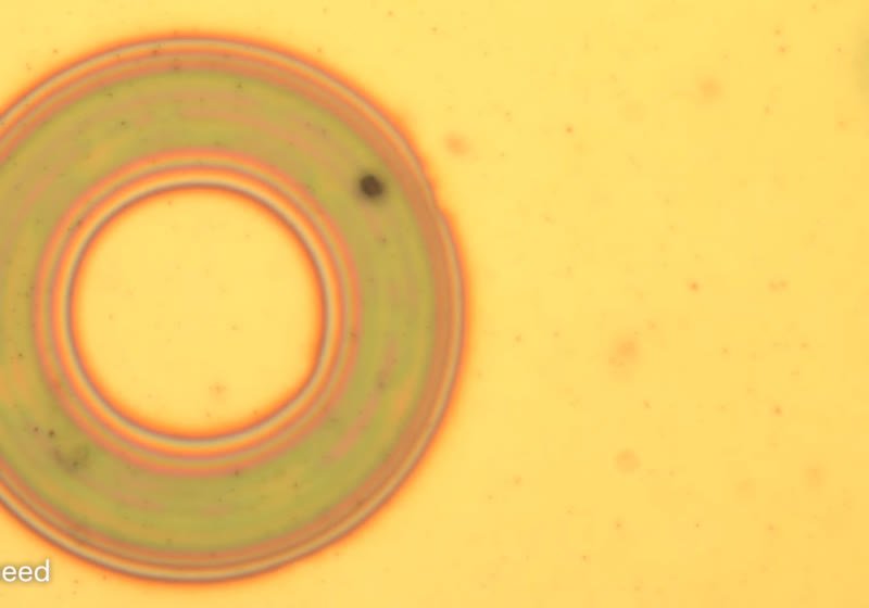 Scientists Develop Nanophotonic Material that Changes Color, Texture, and Shape on Demand