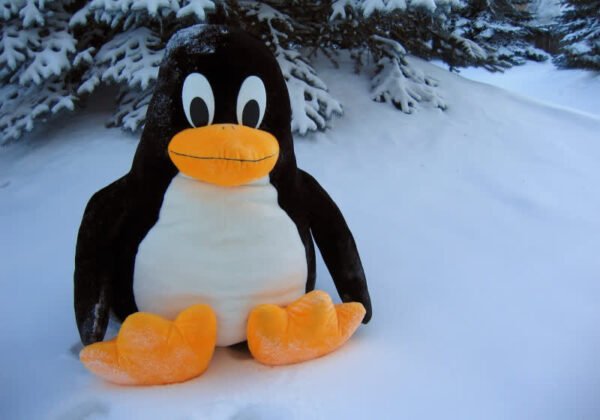 A New Wine Update Could Finally Bring Adobe Photoshop to Linux