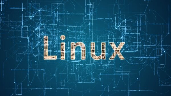 即便AI懷疑論者林納斯·托瓦爾斯仍涉足「氛圍編碼」，難道預示 Linux 出現新黎明嗎？或許不會…