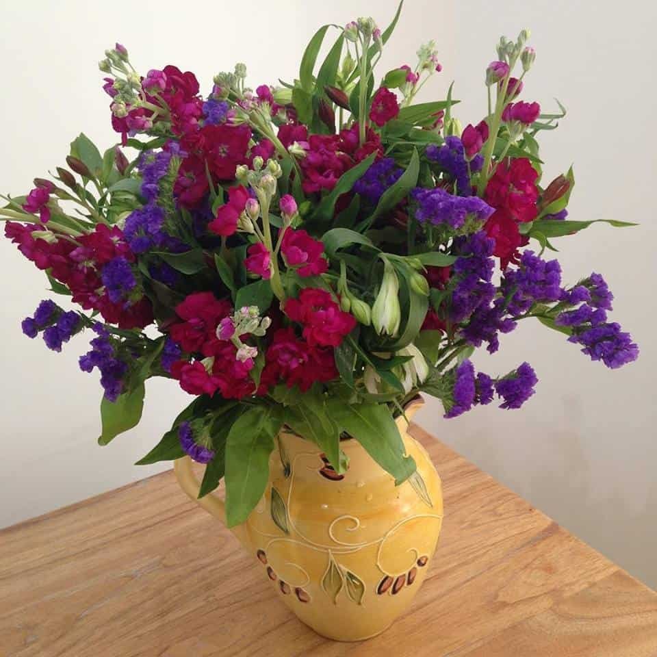 What to Look for When Sending Flowers: A Practical Guide to Messaging with Nature