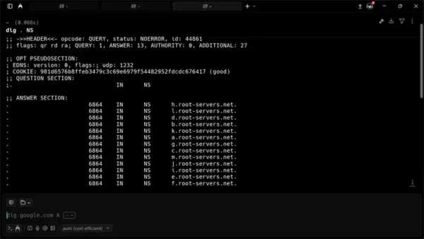 域名解析運作原理與實務導覽