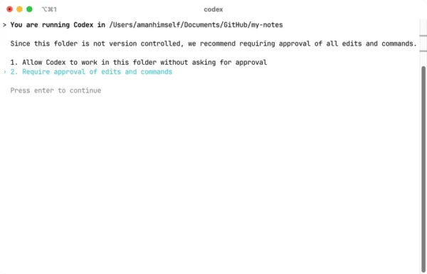 首次體驗 Codex CLI 的前幾日