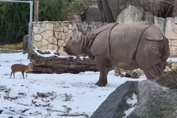 Bill Gates Warns of a Dark Trend in His Annual Letter, While A Lighter Note Emerges: A Playful De…