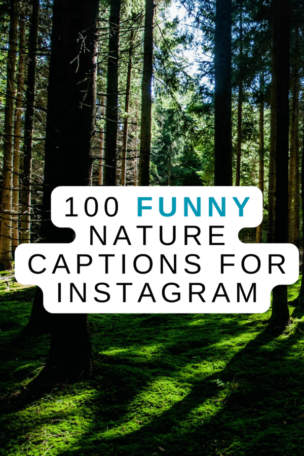 100 Funny Nature Captions for Instagram in 2026 That Will Actually Get Likes