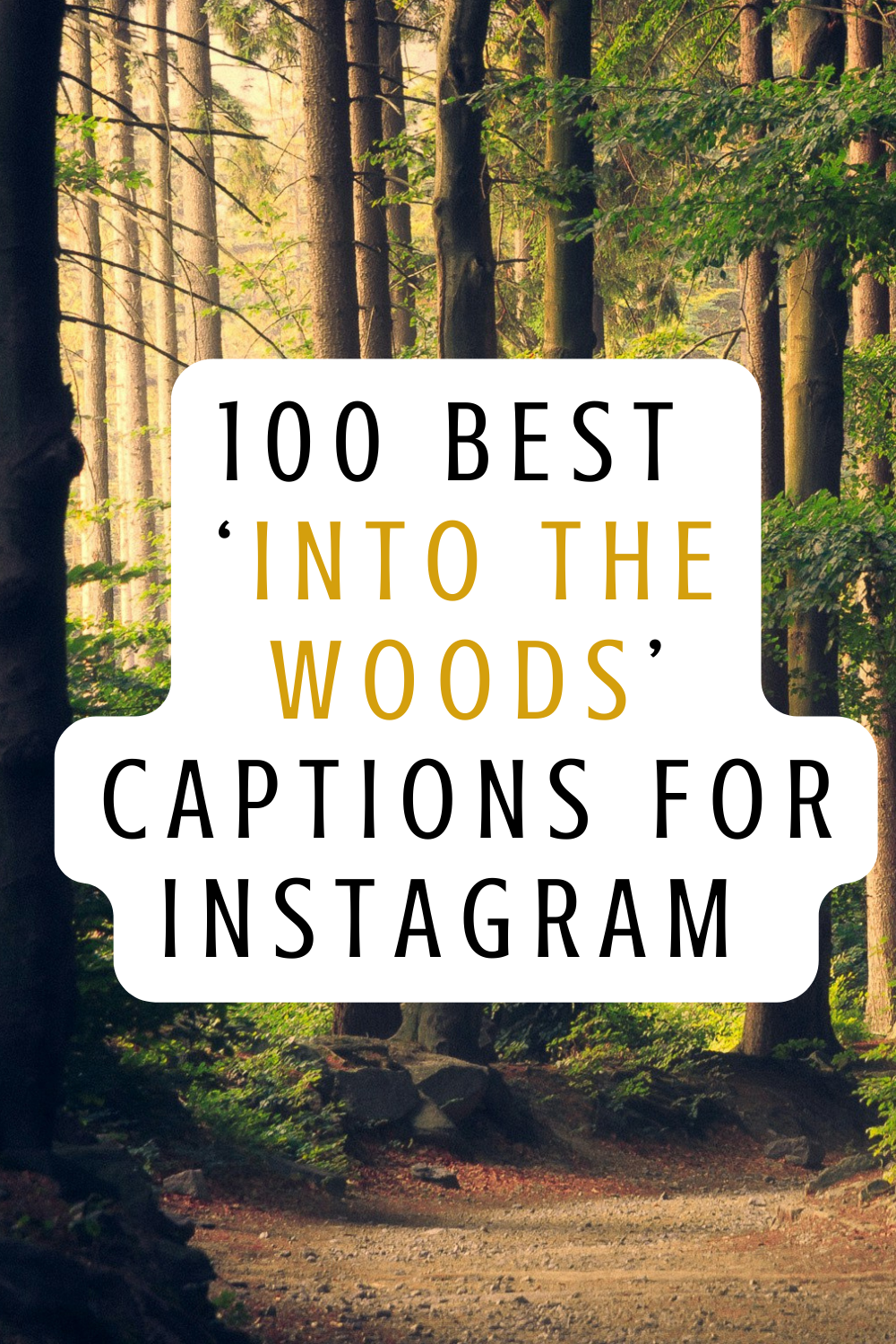 100 Best Into the Woods Captions for Instagram: Nature-Inspired, Aesthetic & Fun