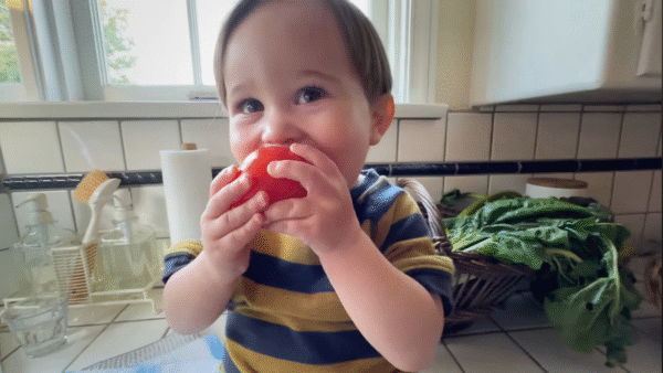 谷歌在超級碗廣告後重新塑造 Gemini 的形象：在眾多感性 AI 競爭者中穩住腳跟