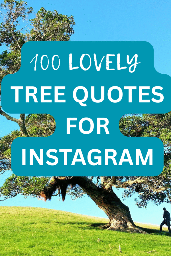 100 Lovely Tree Quotes for Instagram: Growth, Grounding, and Connection with Nature