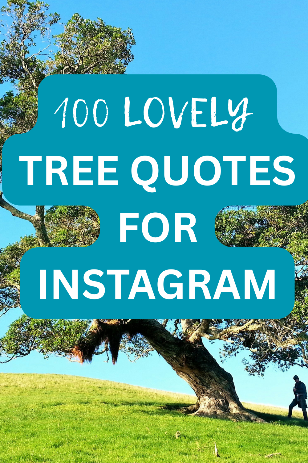100 Lovely Tree Quotes for Instagram: Growth, Grounding, and Connection with Nature