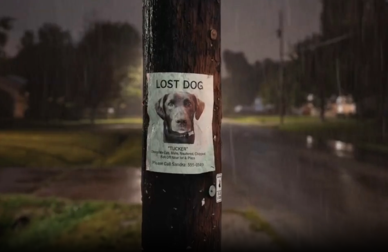 Super Bowl Tech Ad Roundup: AI Can Kill You — or Help You Find Your Lost Dog