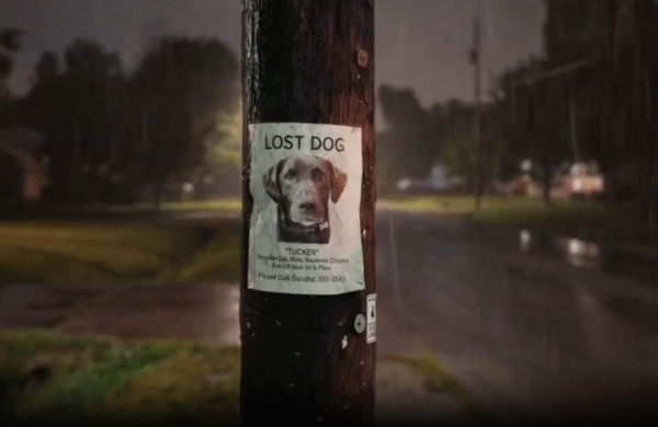Super Bowl Tech Ad Roundup: Artificial Intelligence Could Kill You — or Help Find Your Lost Dog