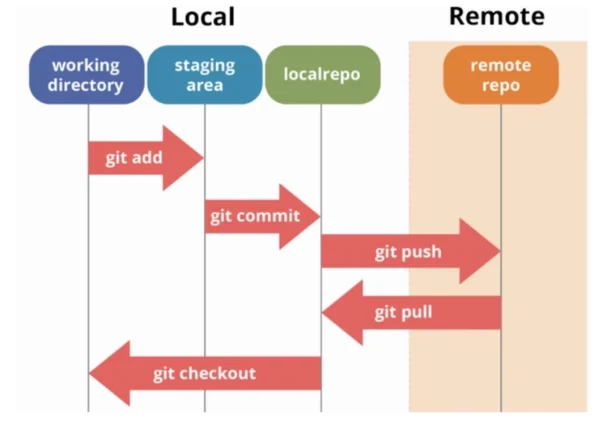 Git for Beginners: Basics and Essential Commands