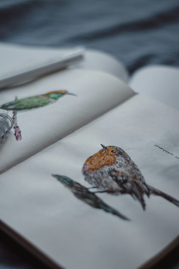 25 Bird-Themed Junk Journal Prompts to Inspire Your Next Spread