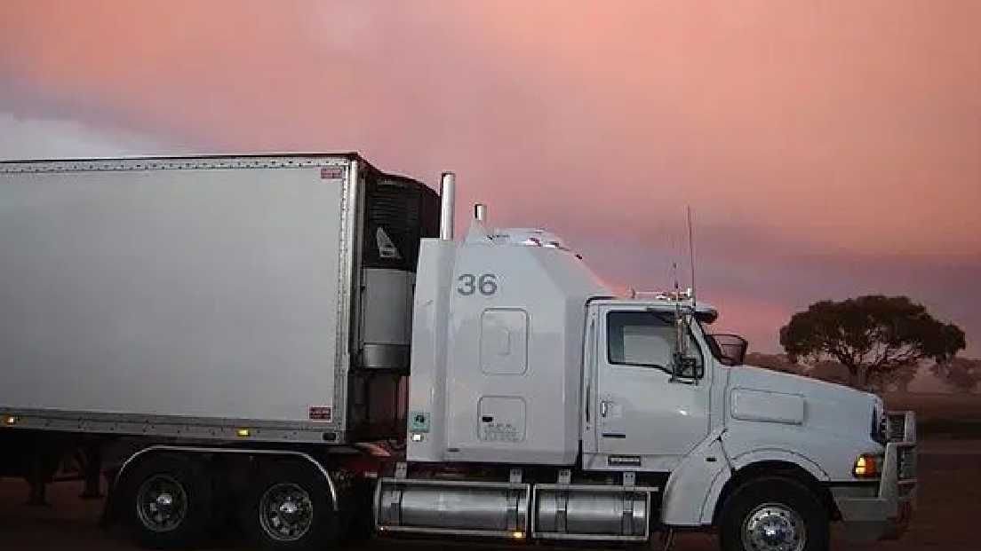 平民股暴跌背後的AI平台風暴：知名品牌與未名小廠的劇烈拉扯