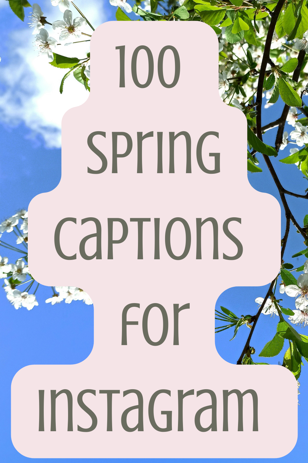 100 Gorgeous Spring Quotes & Captions for Instagram: A Fresh Season of Renewal
