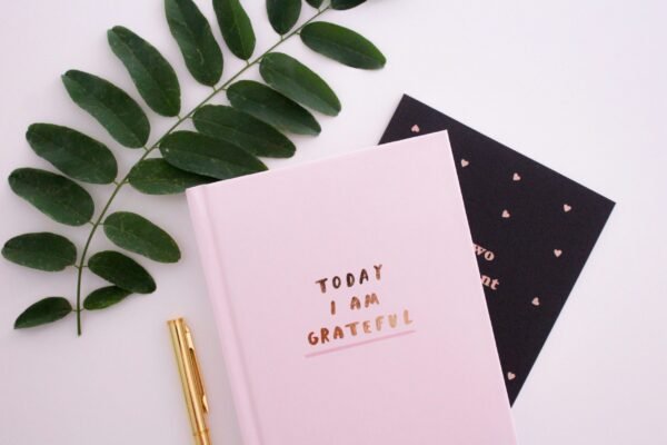 250 Gratitude Journal Prompts to Transform Your Mindset