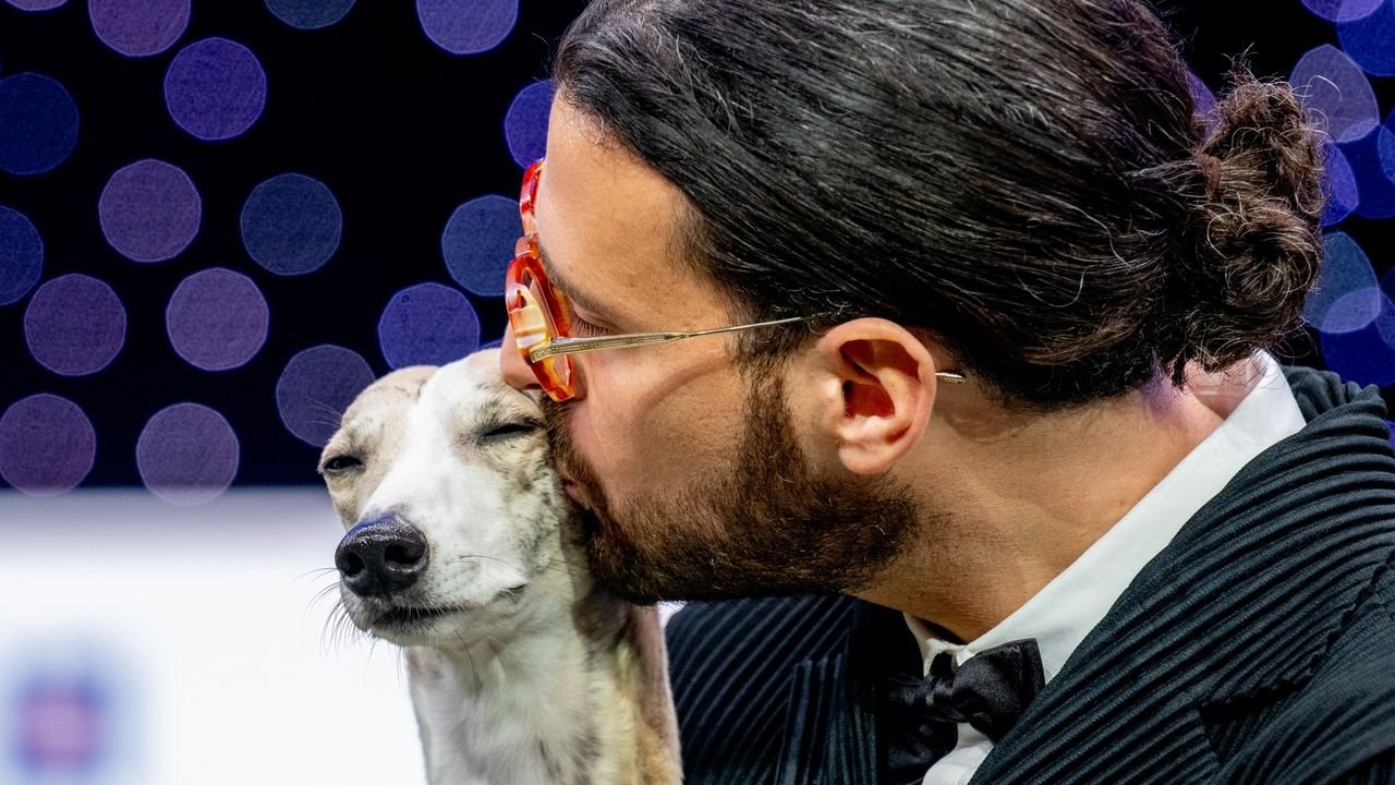 免費在線觀看 Crufts 2026：現場直播、日程與預告全整理