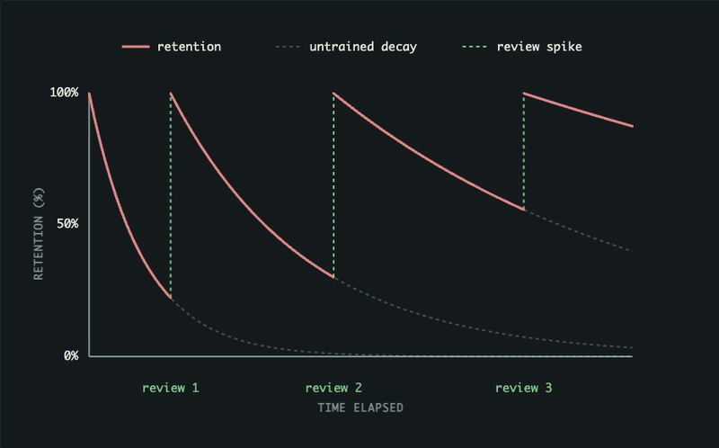 How Spaced Repetition Actually Works: The SM-2 Algorithm